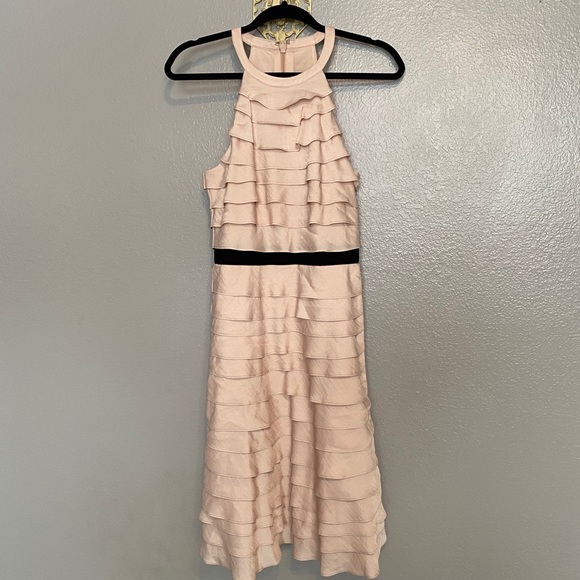 NWT BCBG Maxazria Bare Pink “Madison” Dress sz8 - Picture 1 of 14